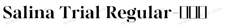 Salina Trial Regular字体转换